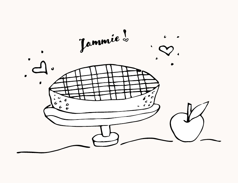 Illustratie Sam