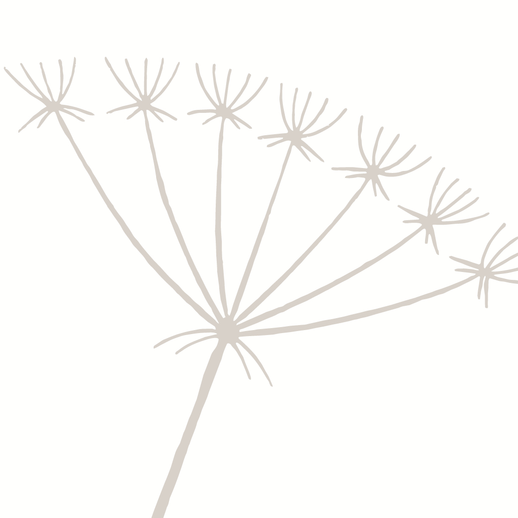 met fiep portfolio5
